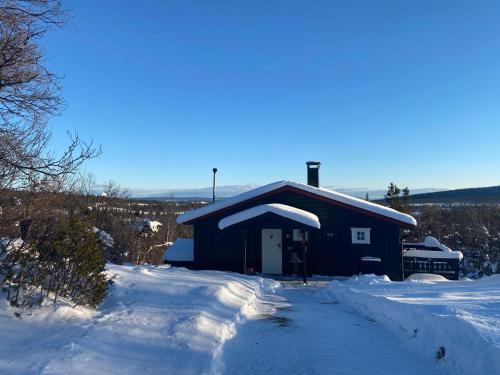 Cabin in the Mountain, with Solar Energy