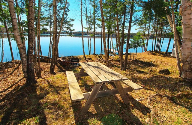 Camp on Quimby - Adorable home right on Quimby Pond
