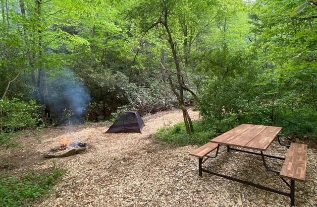 Campsite 1 - Creekside on 38 acres -biking and hiking trails