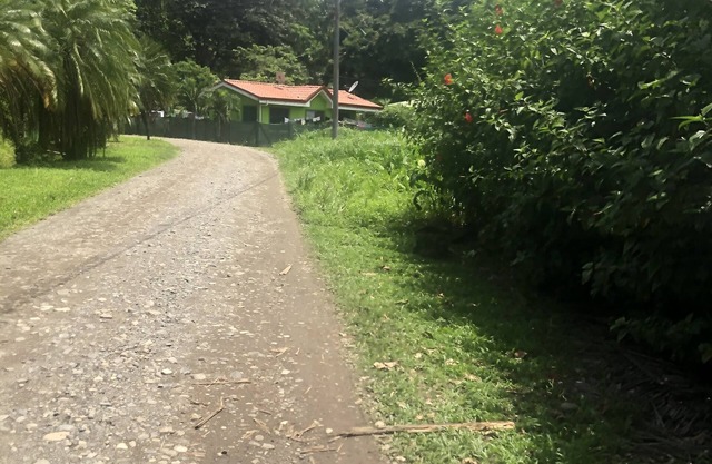 🐒CASA MONO VERDE 10 minutes walk to playa blanca, The National Park, Mepe Bus