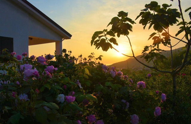 Casale Dionisia, Iris Apartment: very cozy, quiet and scenic