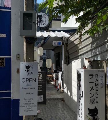 Cat in the box homestay