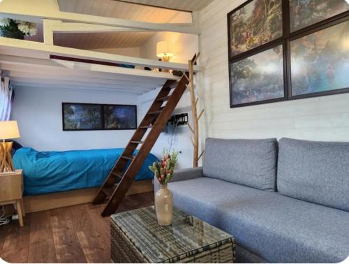 Chalet avec jardin proche de Disneyland