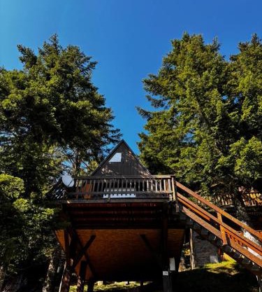 Chalet de montagne