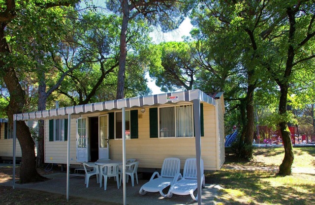Chalet with nice terrace near the sea