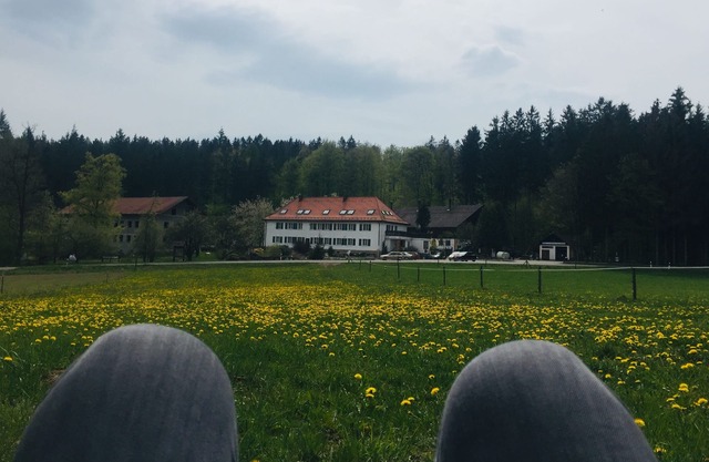 Charming 85 sqm apartment in a quaint inn & farm in the Bavarian forest