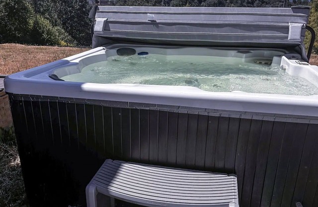 Charming cabin in Olympia with AC - perfect for a peaceful getaway