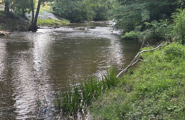 Charming Cottage at Bridge Over Doubled Waters in Sparta, NC