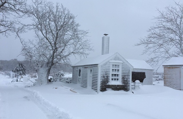 Charming cottage on goat farm in picturesque Westport