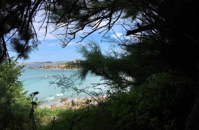 Charming house, very comfortable and by the beach, 5 minutes from the sea