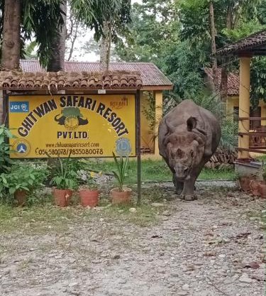Chitwan Safari Resort