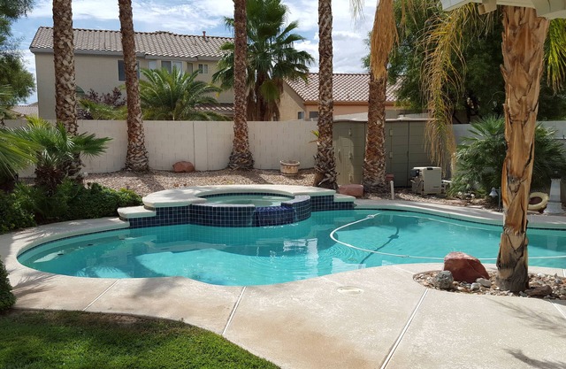 City Licensed! Palm Trees And Private Oasis With All The Comforts Of Home