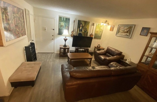 Clean, Comfortable, Cozy, Quiet and Convenient Apartment