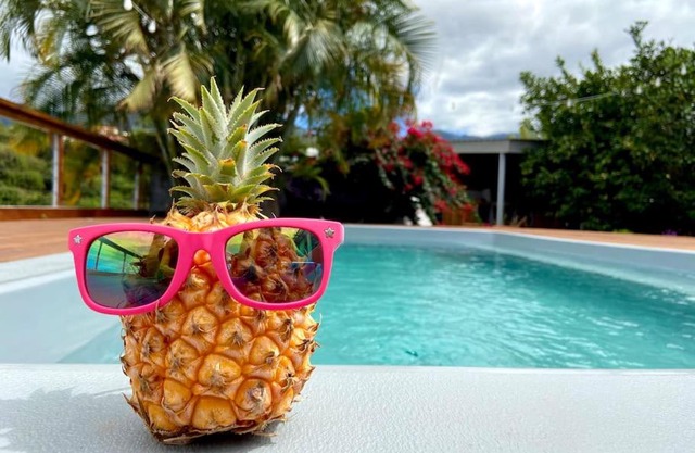 Cocooning Tropic Studio avec Jacuzzi privatif