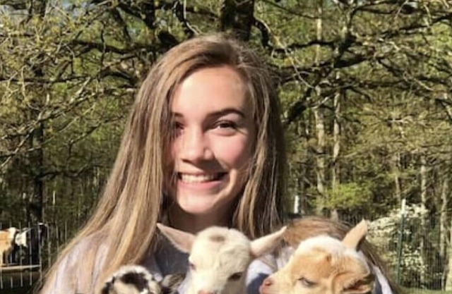 Come Play and Stay at Little Tail Farms