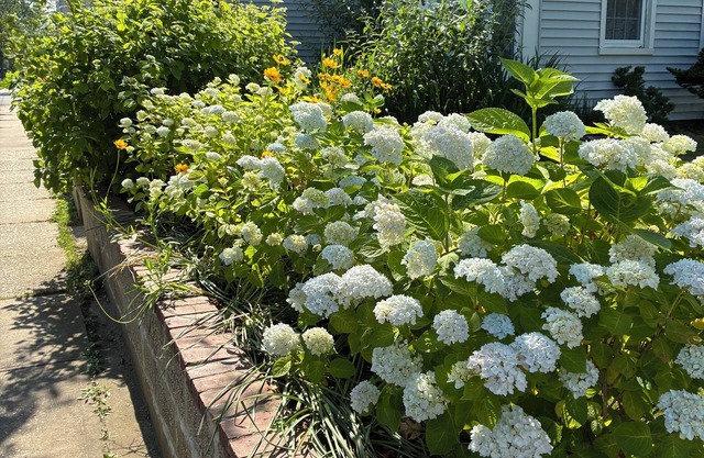 Come stay at The Whitman House a magical gem in the heart of Historic Greenport