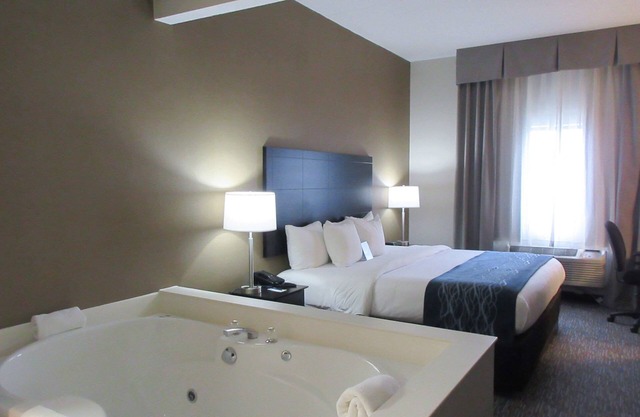 Comfort Inn Port Huron