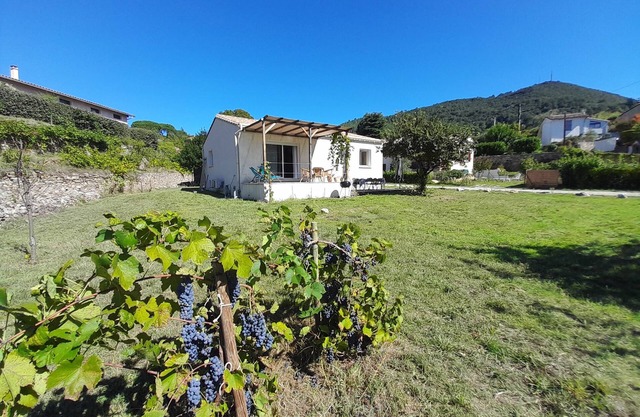 Comfortable house in quiet neighborhood 5 minutes walk from downtown