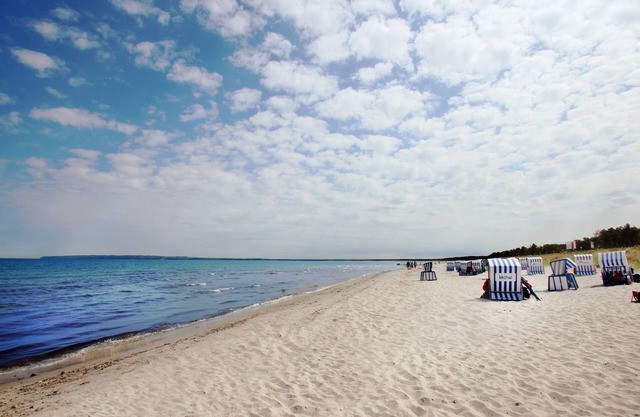 Comfortable Swedish house close to the beach with sea view - Holiday home Freya