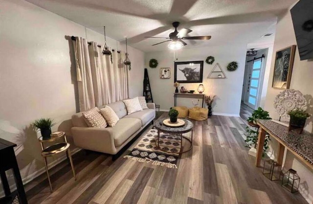 Comfy and cozy on Holly