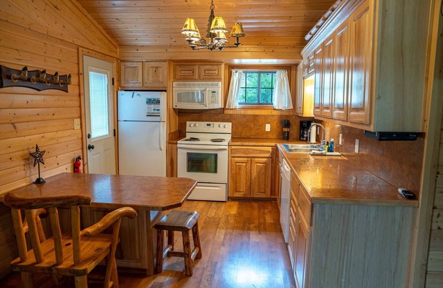 Cool Waters Cabin - Ox Yoke #7 - Updated Cabin Along the Lake Fork of the Gunnison