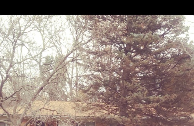 Corporate/Placement. Perfect place to put your feet up