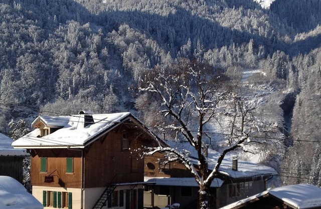 Cosy family-friendly duplexchalet apartment - ski to door, hiking. Pet.friendly