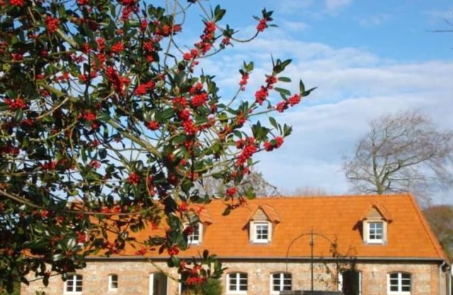 Country Cottage / Gite - Quiberville