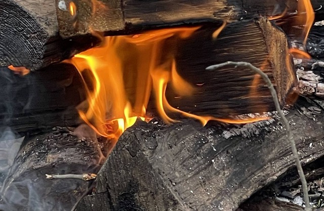 Country getaway must love nature