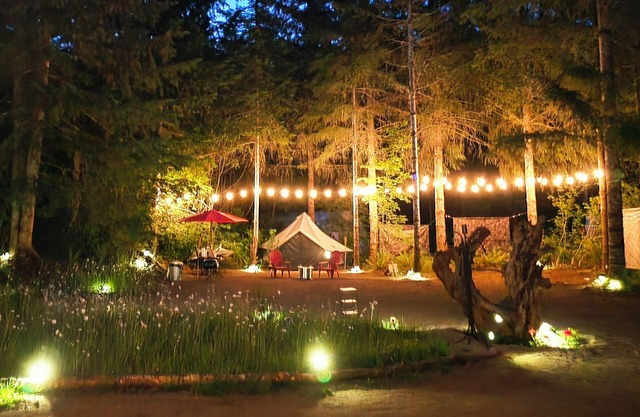 Cozy 5 Sites Campground in serene Elbe with Shared Kitchen, Water, Lights, Wifi