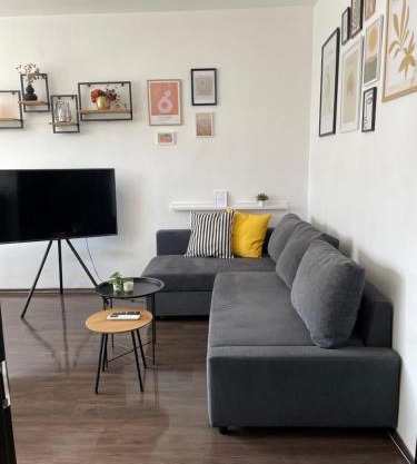 Cozy APT Free Parking Wi-Fi Netflix