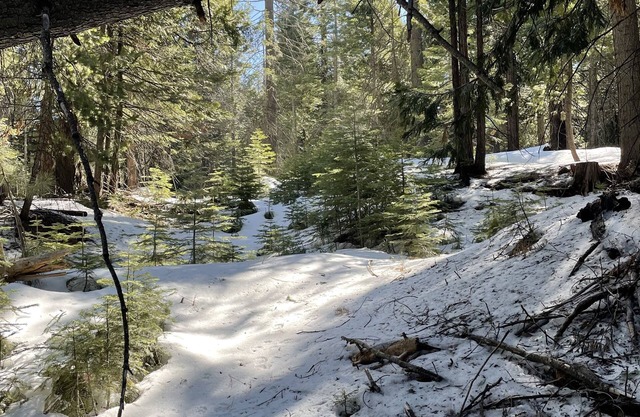 Cozy Cabin for Summer & Winter Fun