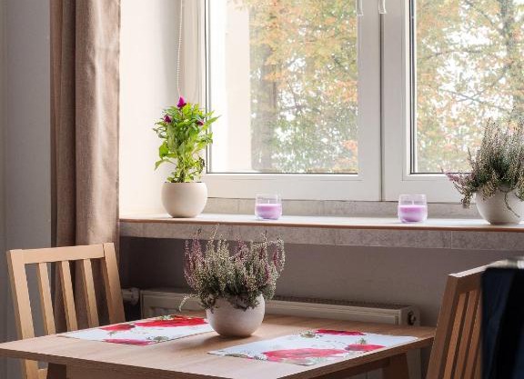 Cozy Warsaw City Center Studio