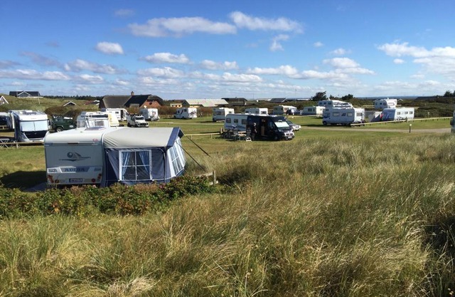 Dancamps Holmsland (Camp Site)