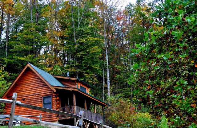 Deer Country Vacation Cabins #4 - Long Range View, Dogs Friendly