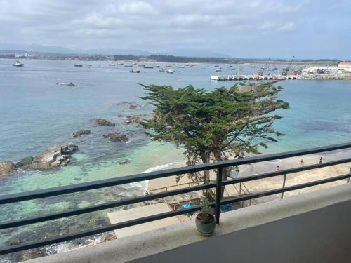 Departamento en Quintero