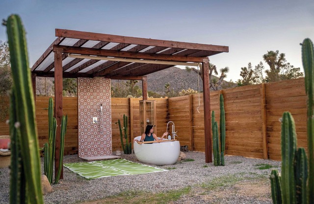 Desert Flora By The CoHost Company