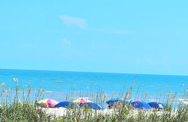 Direct OCEANFRONT View- Ocean Pier1 -2-bd/2 bath N. Myrtle Beach, Windy Hill!