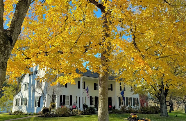 Discover the rich history of the Henry House, a captivating landmark since 1769.