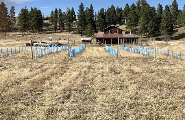 Discover this Gorgeous Cottage Situated Along the Tobacco River!