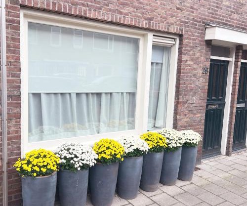 DomCity Apt Near Amsterdam Bikes Included One mile to City Centre