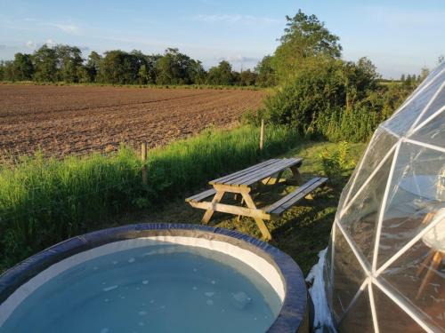 Dome One with Hot Tub, Lincoln, Projector, Firepit