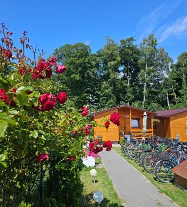 Domki letniskowe Wikar