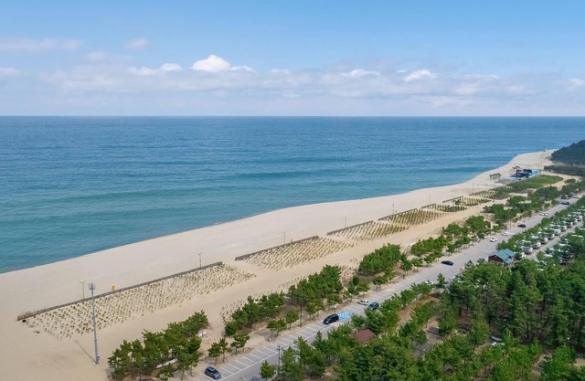 Donghae Starbeach pet Pension