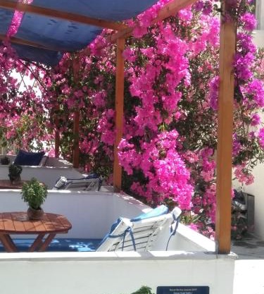 Doron Hotel Delfini