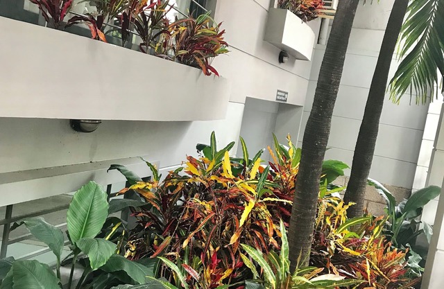 Downtown Retro Serviced Apartment