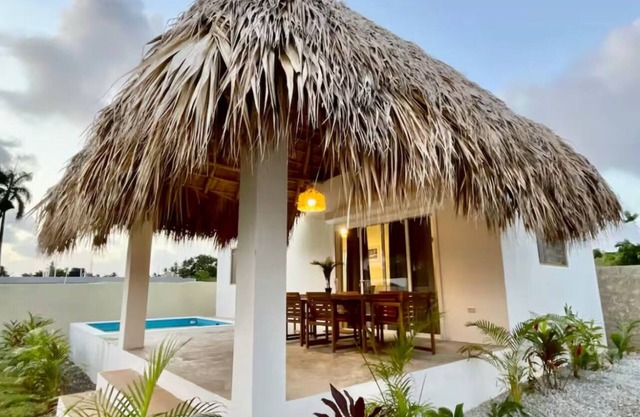 Dreams House Playita with pool in Las Galeras