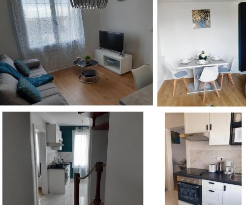 Duplex tout confort - circuit 24h - pôle santé sud - Centre des expositions - Technoparc