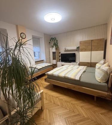 EDI APP Bovec Center