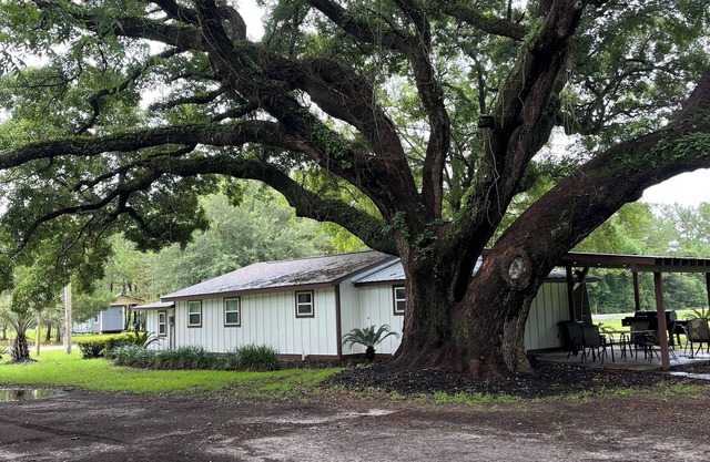 Enjoy the peaceful outdoors in this newly remodeled home on 5 acres
